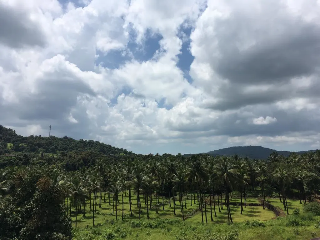 Coco Riviera Scenery 3